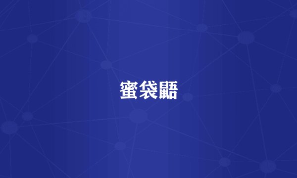 蜜袋鼯