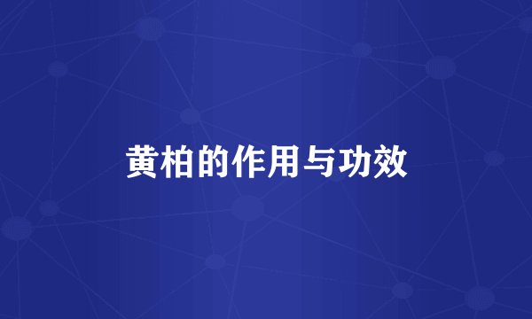 黄柏的作用与功效