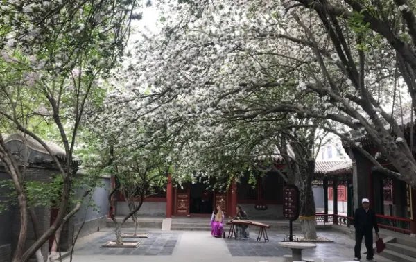 石家庄市里好玩的地方有哪些？