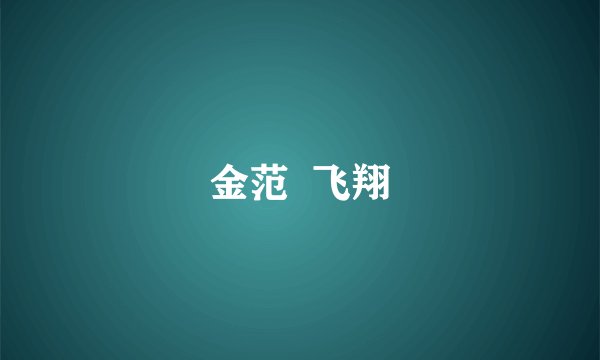 金范  飞翔