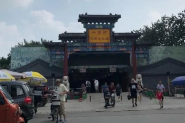 全国十大花鸟鱼虫市场,十里河花鸟市场上榜,第一全国规模最大