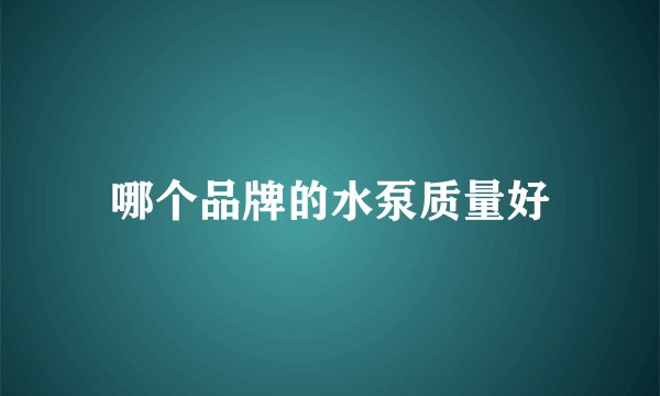 哪个品牌的水泵质量好