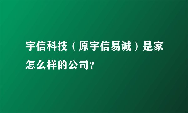 宇信科技（原宇信易诚）是家怎么样的公司？