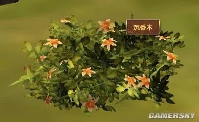 《模拟人生:中世纪》草药种类及分布图