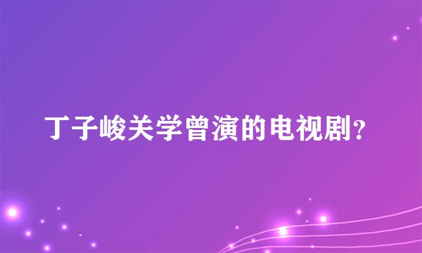 丁子峻关学曾演的电视剧？
