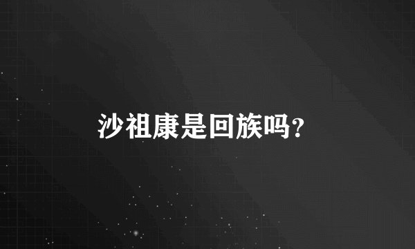 沙祖康是回族吗？