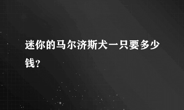 迷你的马尔济斯犬一只要多少钱？