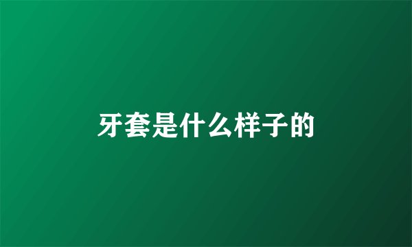 牙套是什么样子的