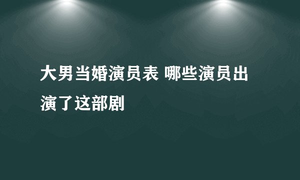 大男当婚演员表 哪些演员出演了这部剧