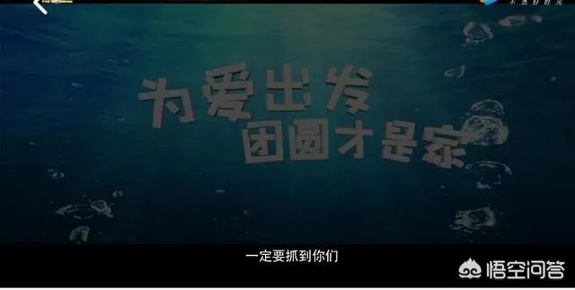 怎样看待《熊出没变形计》?
