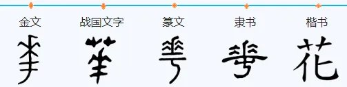 花的笔顺怎么写的