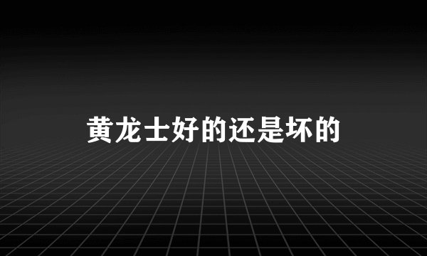 黄龙士好的还是坏的