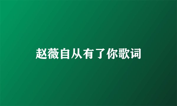 赵薇自从有了你歌词