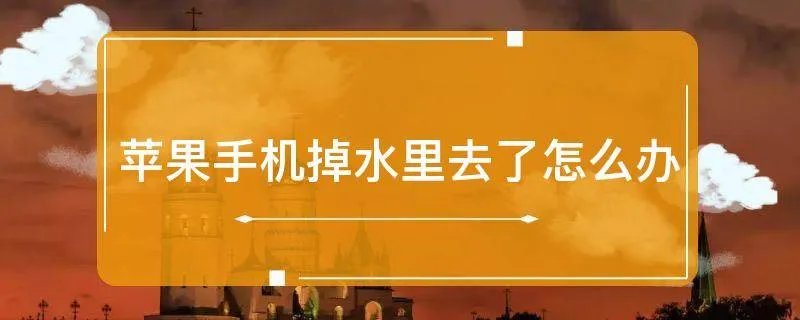 苹果手机掉水里去了怎么办