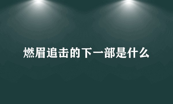 燃眉追击的下一部是什么