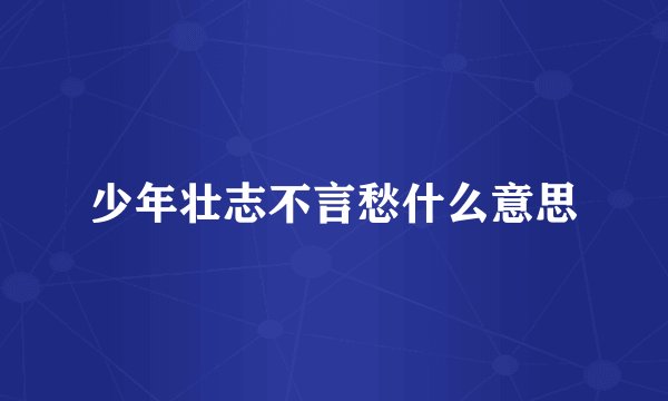 少年壮志不言愁什么意思