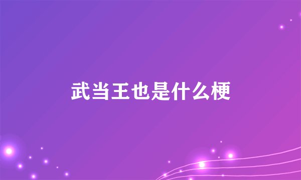 武当王也是什么梗