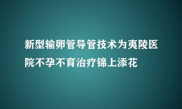 新型输卵管导管技术为夷陵医院不孕不育治疗锦上添花