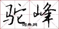 驼峰