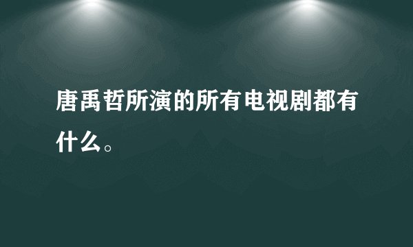 唐禹哲所演的所有电视剧都有什么。