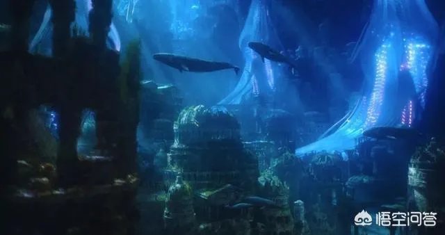 如何评价《海王》?