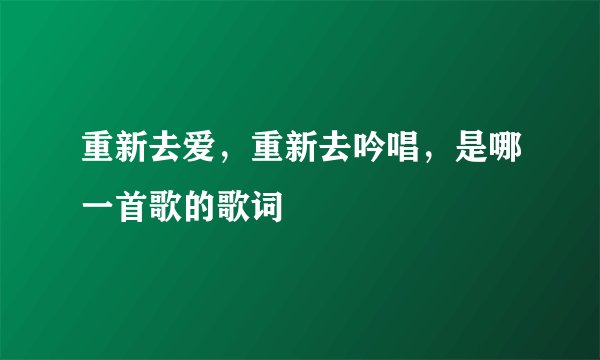 重新去爱，重新去吟唱，是哪一首歌的歌词