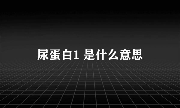 尿蛋白1 是什么意思