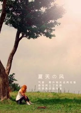 温岚 夏天的风歌词