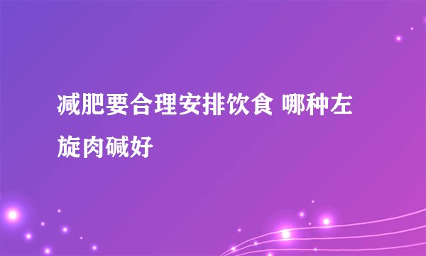 减肥要合理安排饮食 哪种左旋肉碱好