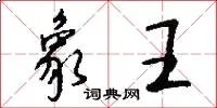 象王