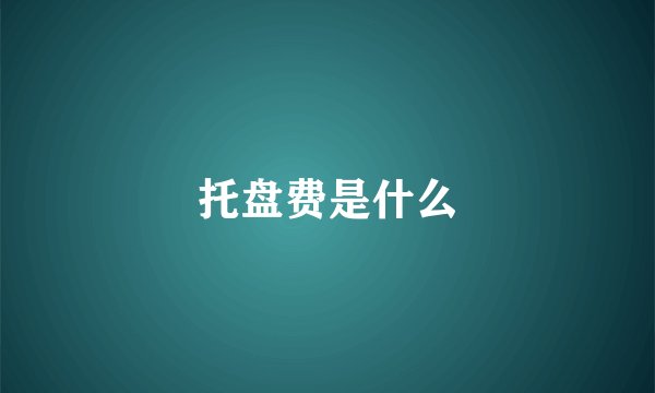 托盘费是什么