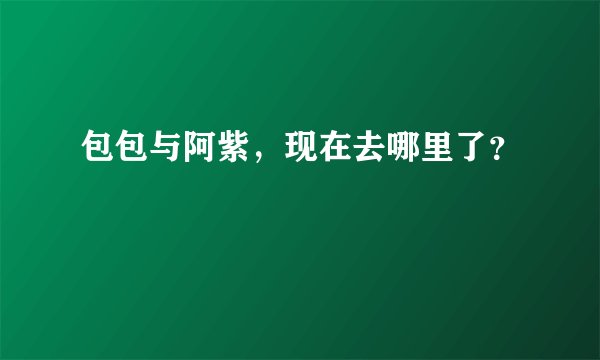 包包与阿紫，现在去哪里了？