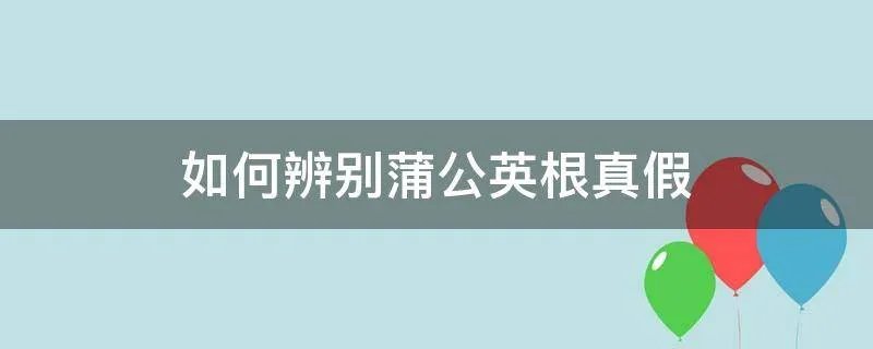 如何辨别蒲公英根真假