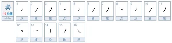 燊燊怎么读音是什么