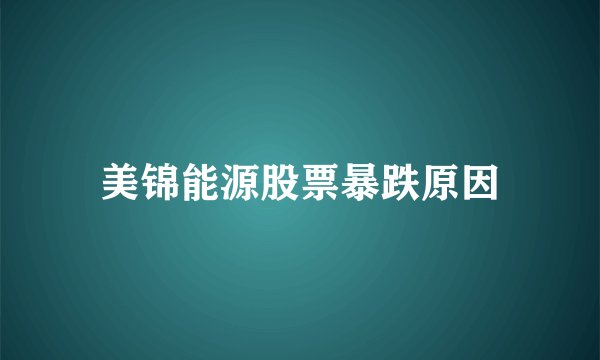 美锦能源股票暴跌原因