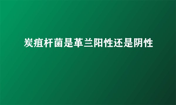 炭疽杆菌是革兰阳性还是阴性