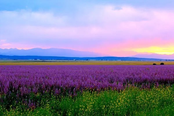 7月份适合去国内哪旅游 七月去哪里旅游好