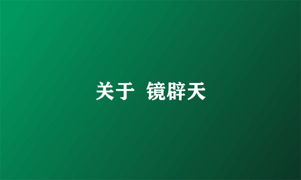 关于  镜辟天