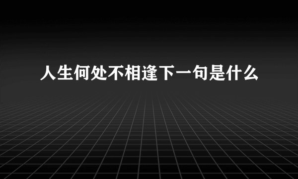 人生何处不相逢下一句是什么