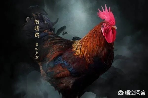 怒晴湘西中怒晴鸡怎么打不过六翅蜈蚣,它不是蜈蚣的克星吗?
