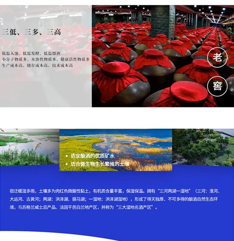 梦之蓝价格