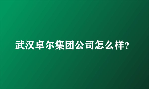 武汉卓尔集团公司怎么样？