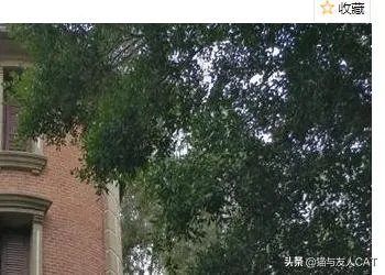 鼓浪屿门票价格详情?