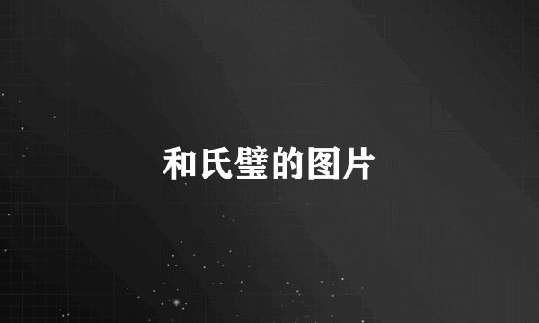 和氏璧的图片