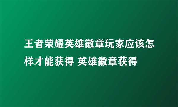 王者荣耀英雄徽章玩家应该怎样才能获得 英雄徽章获得