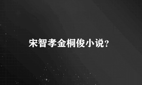 宋智孝金桐俊小说？
