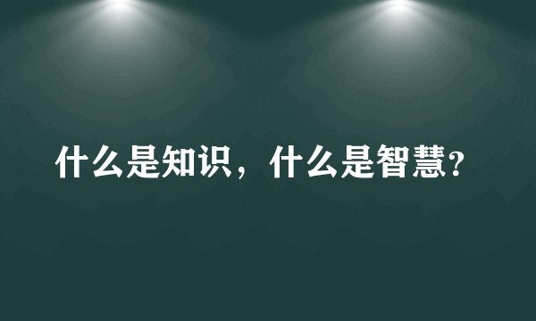什么是知识，什么是智慧？