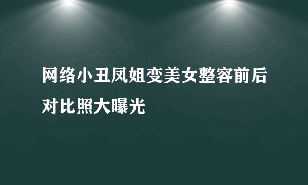 网络小丑凤姐变美女整容前后对比照大曝光