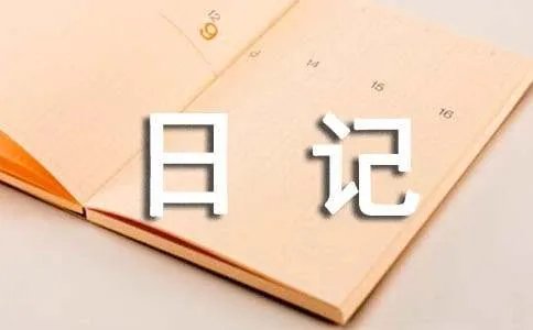 未来日记
