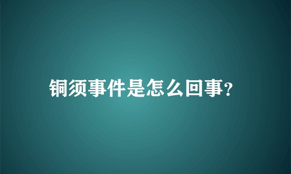 铜须事件是怎么回事？